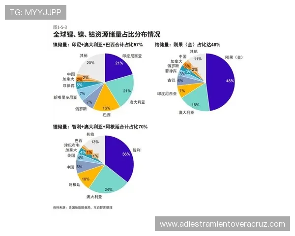 ag视讯公司在全球市场中的竞争优势与未来发展趋势探讨