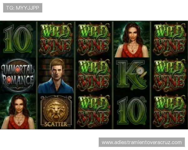 掌握视讯游戏的核心技巧，提升你的游戏水平和胜率指南