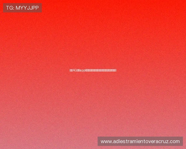 最新AG现金app下载指南，详细步骤帮助新手轻松上手高收益